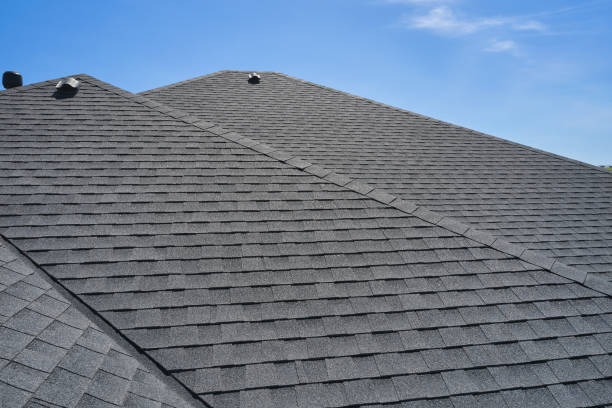 Best Roof Moss and Algae Removal  in Bridgeport, NY